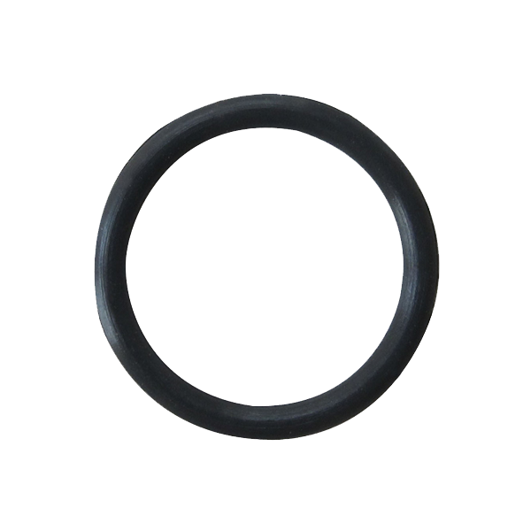 RT-ORpo O Ring For Pico(10pcs)