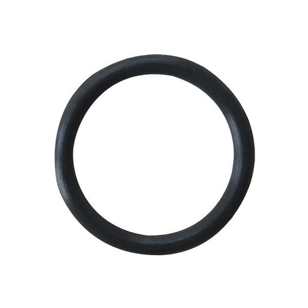 RT-ORpo O Ring For Pico(10pcs)